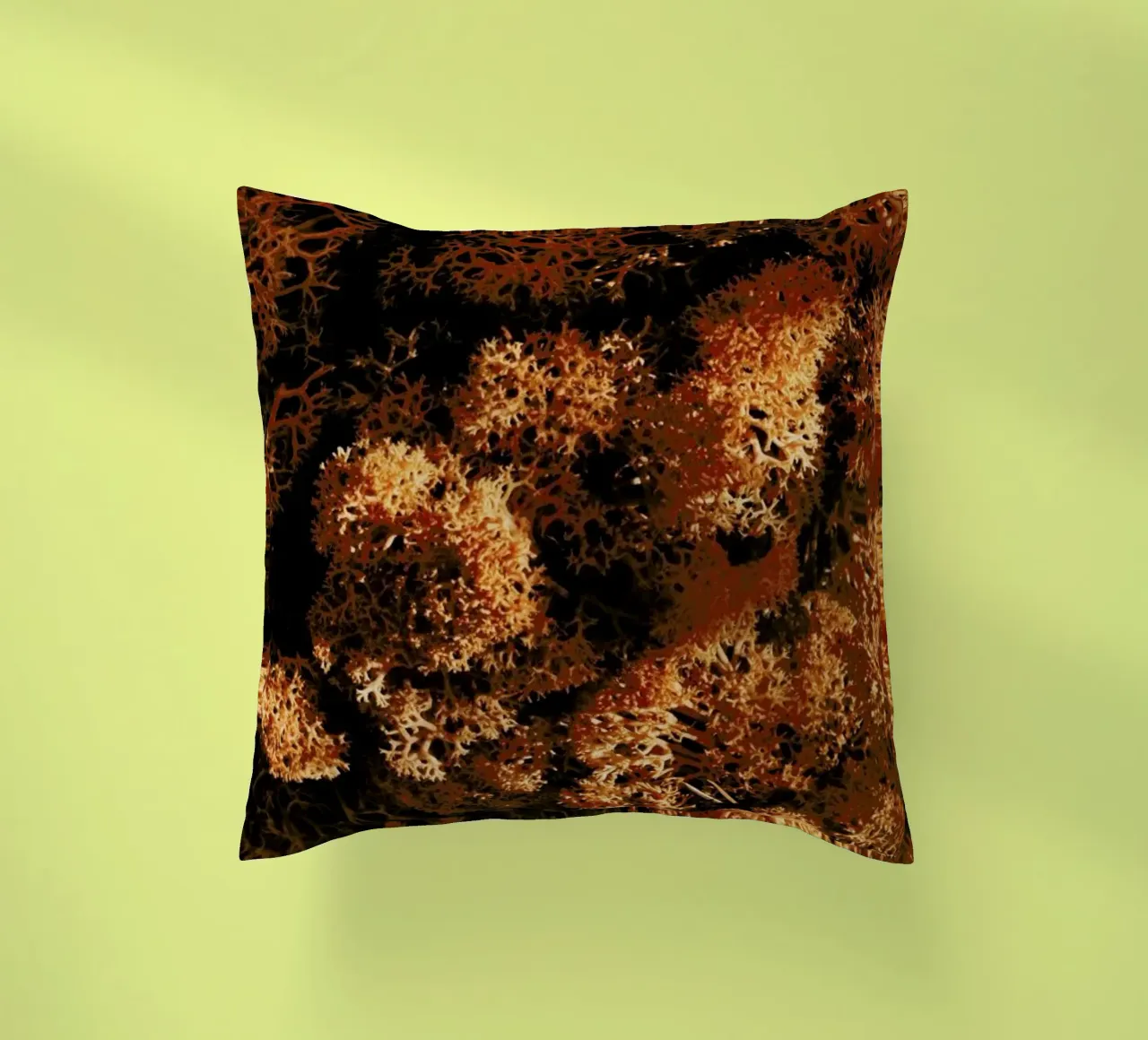 Light Shadow And The Sponge cuscino da Sebastian Hilgetag