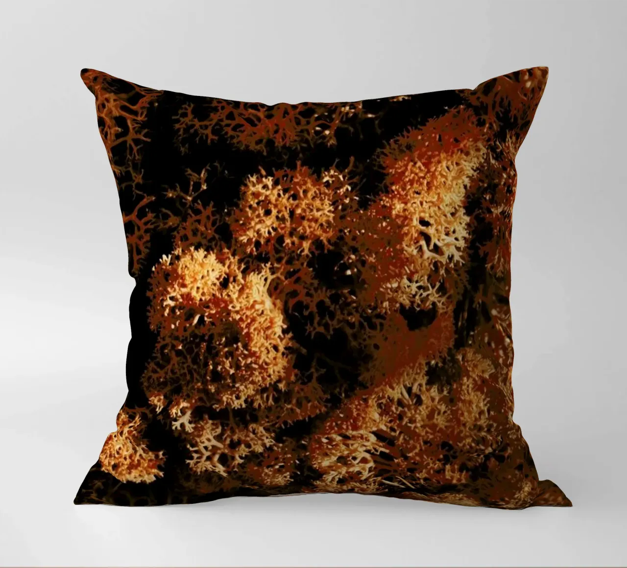 Light Shadow And The Sponge cuscino da Sebastian Hilgetag