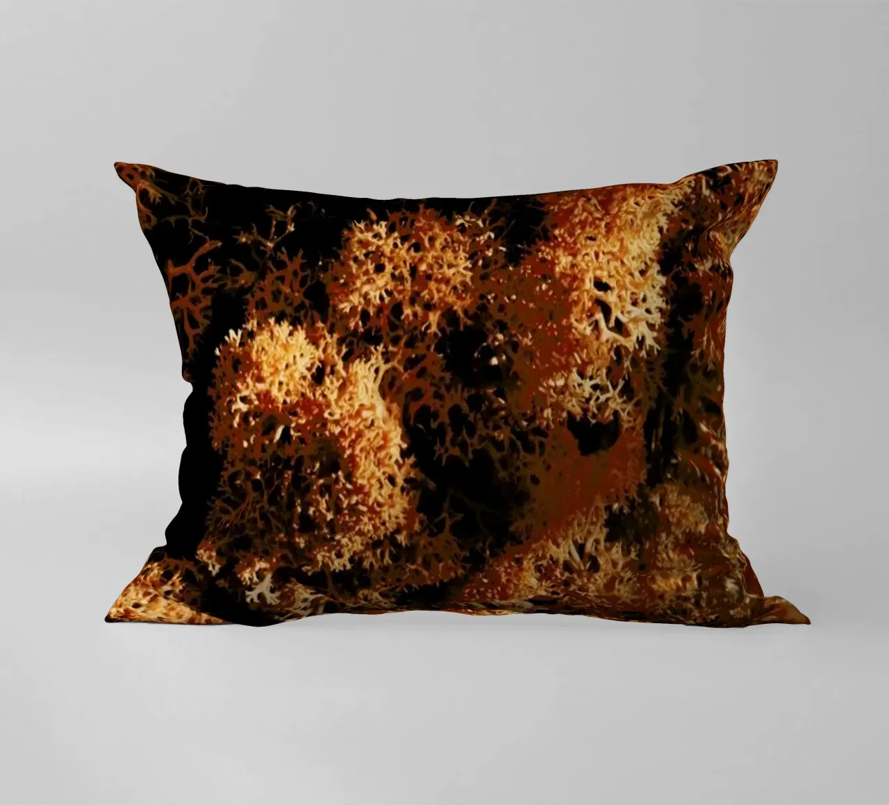 Light Shadow And The Sponge cuscino da Sebastian Hilgetag