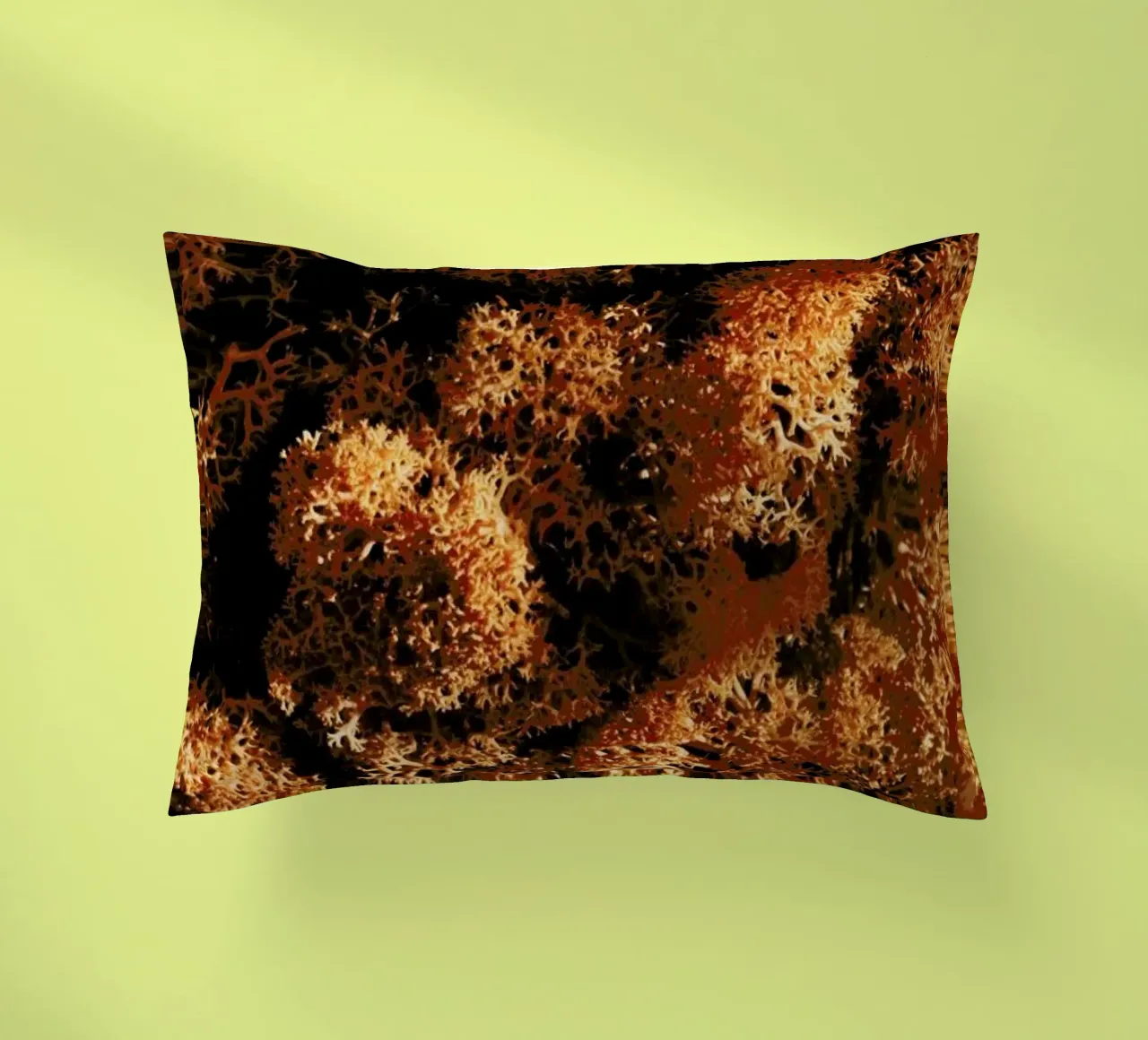 Light Shadow And The Sponge cuscino da Sebastian Hilgetag