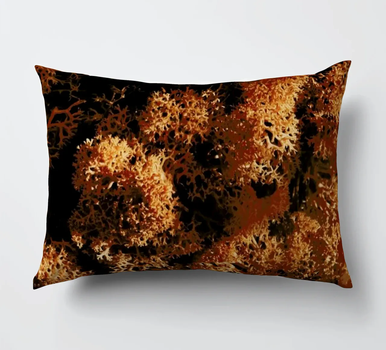 Light Shadow And The Sponge cuscino da Sebastian Hilgetag