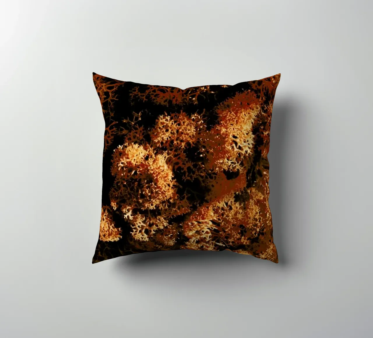 Light Shadow And The Sponge cuscino da Sebastian Hilgetag