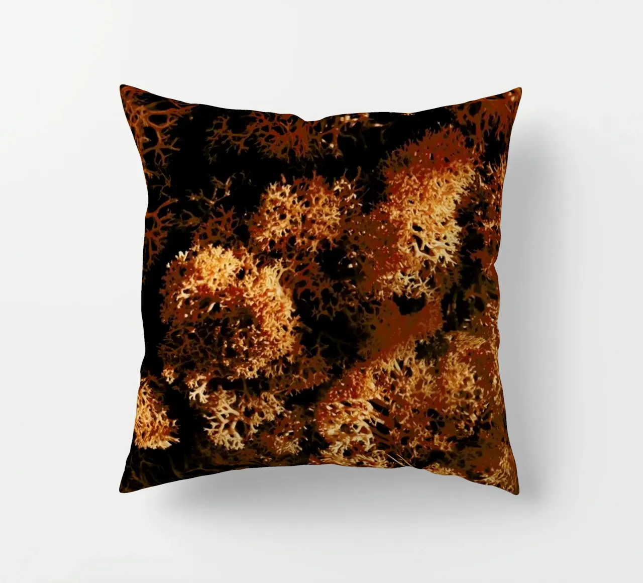 Light Shadow And The Sponge cuscino da Sebastian Hilgetag