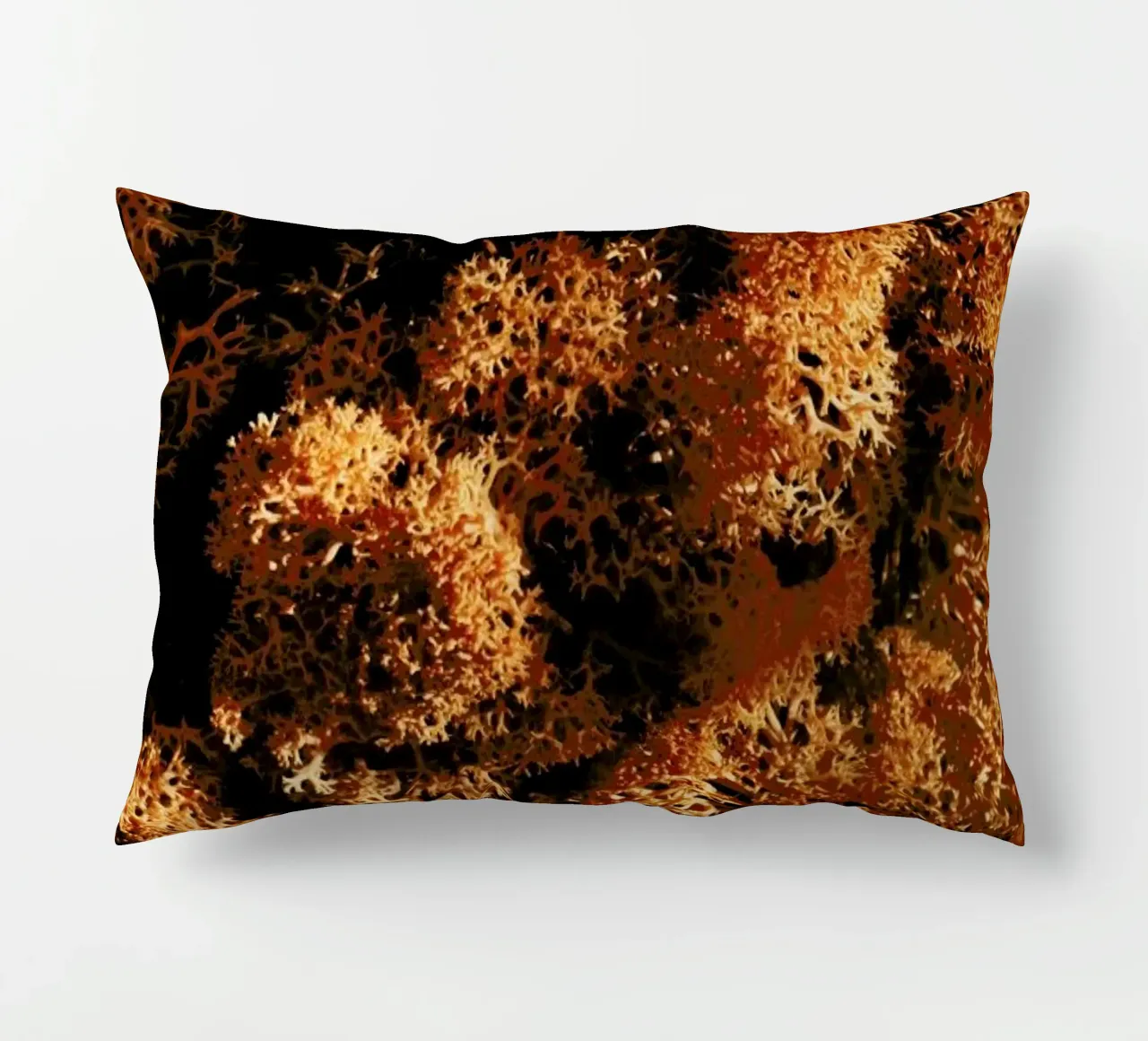 Light Shadow And The Sponge cuscino da Sebastian Hilgetag