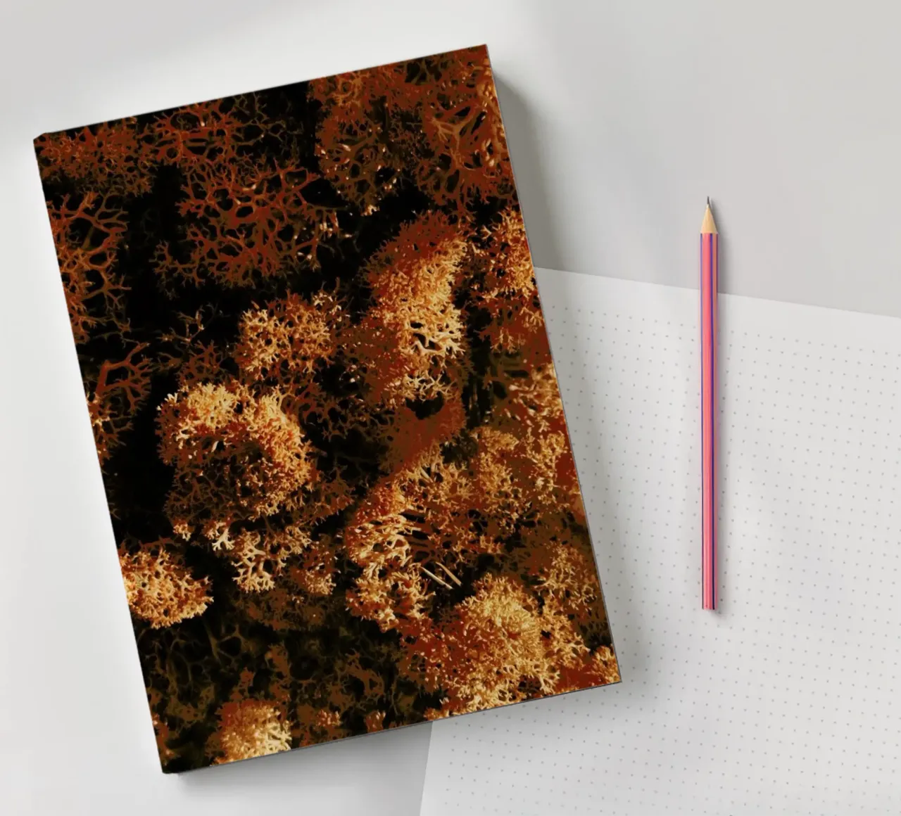 Light Shadow And The Sponge notebook by Sebastian Hilgetag