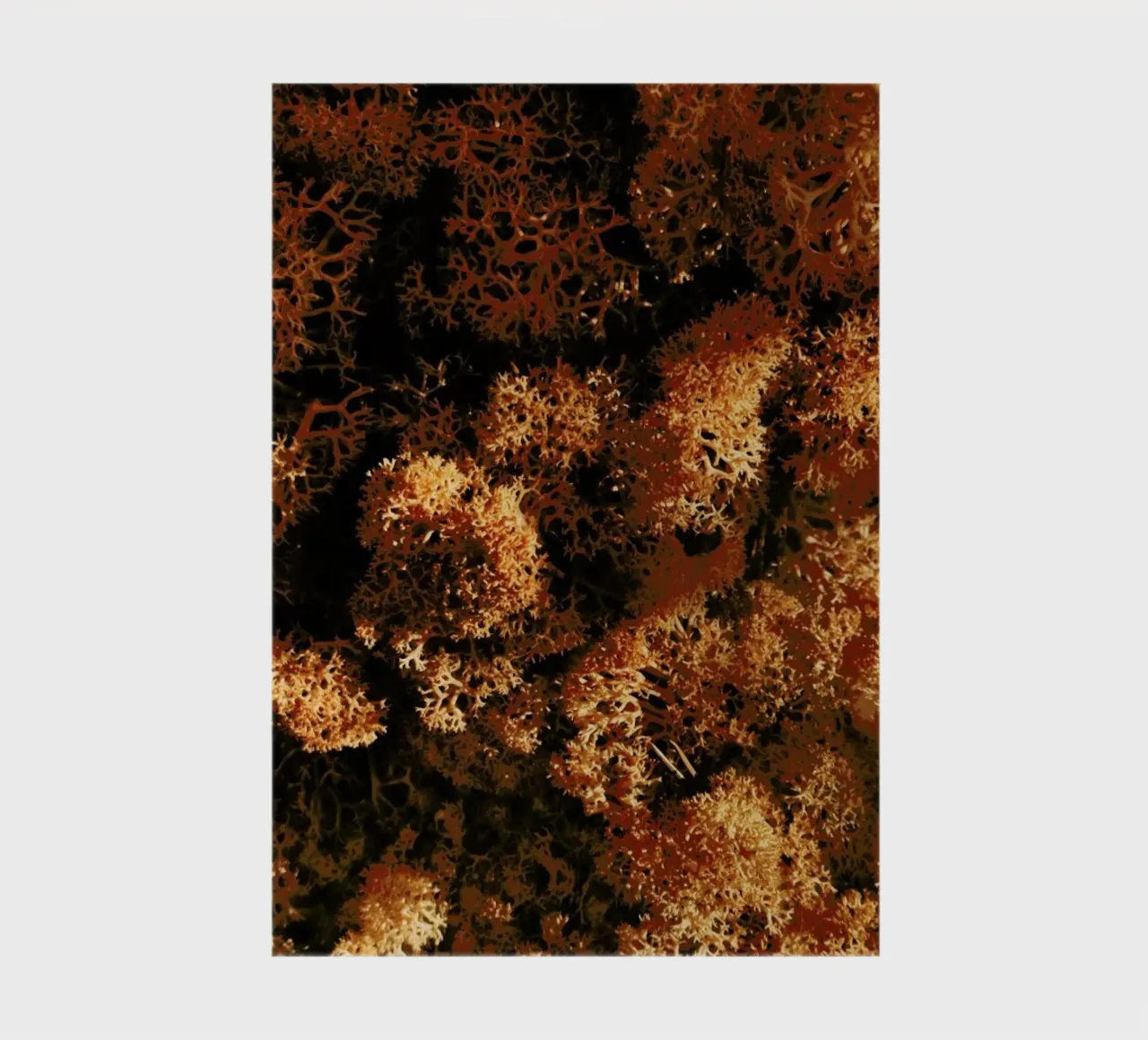 Light Shadow And The Sponge notebook by Sebastian Hilgetag