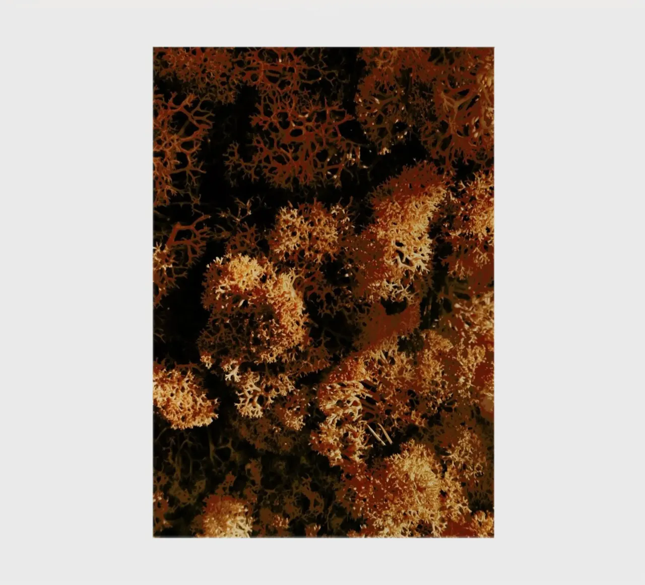 Light Shadow And The Sponge notebook by Sebastian Hilgetag