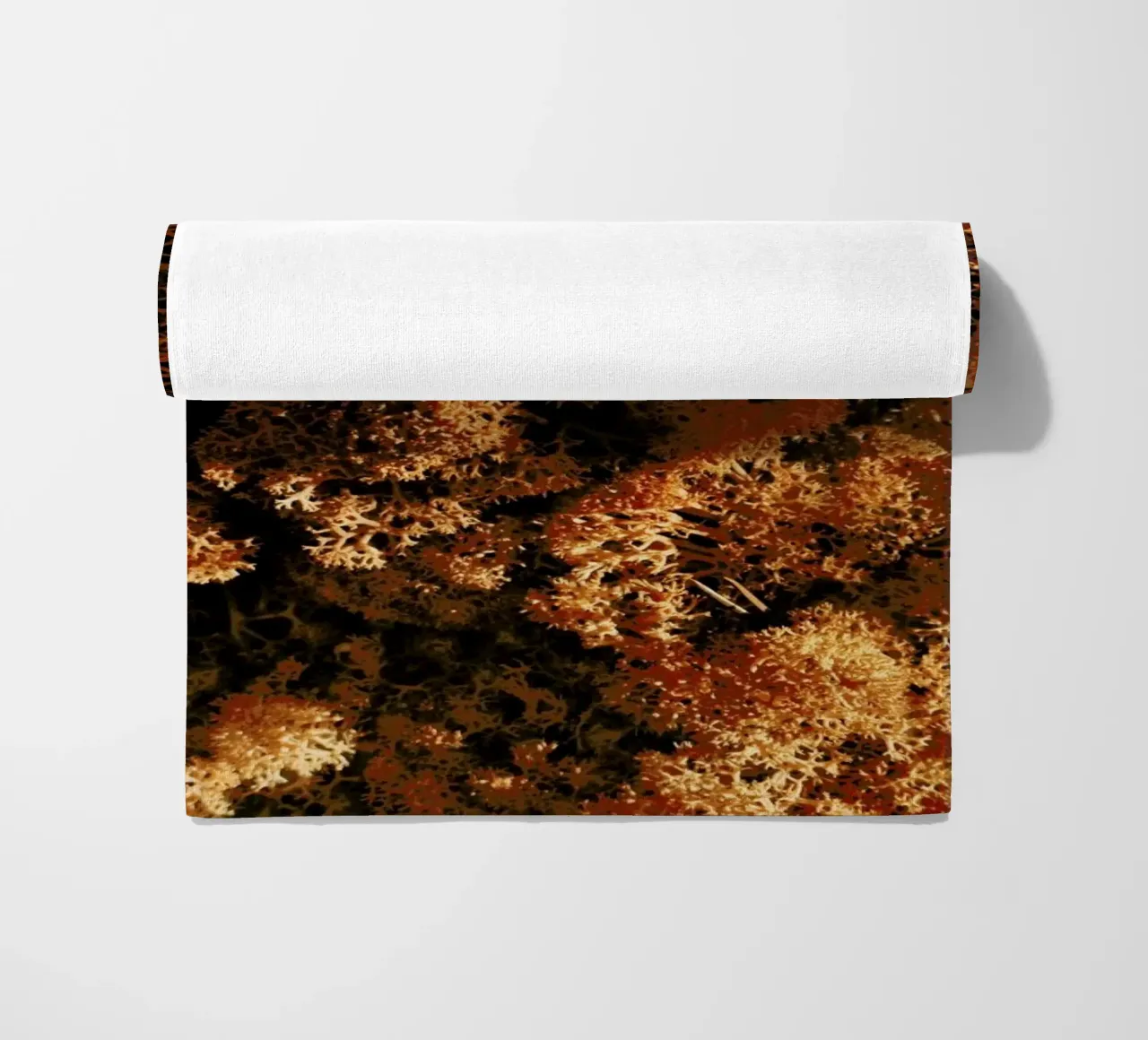 Light Shadow And The Sponge telo mare da Sebastian Hilgetag