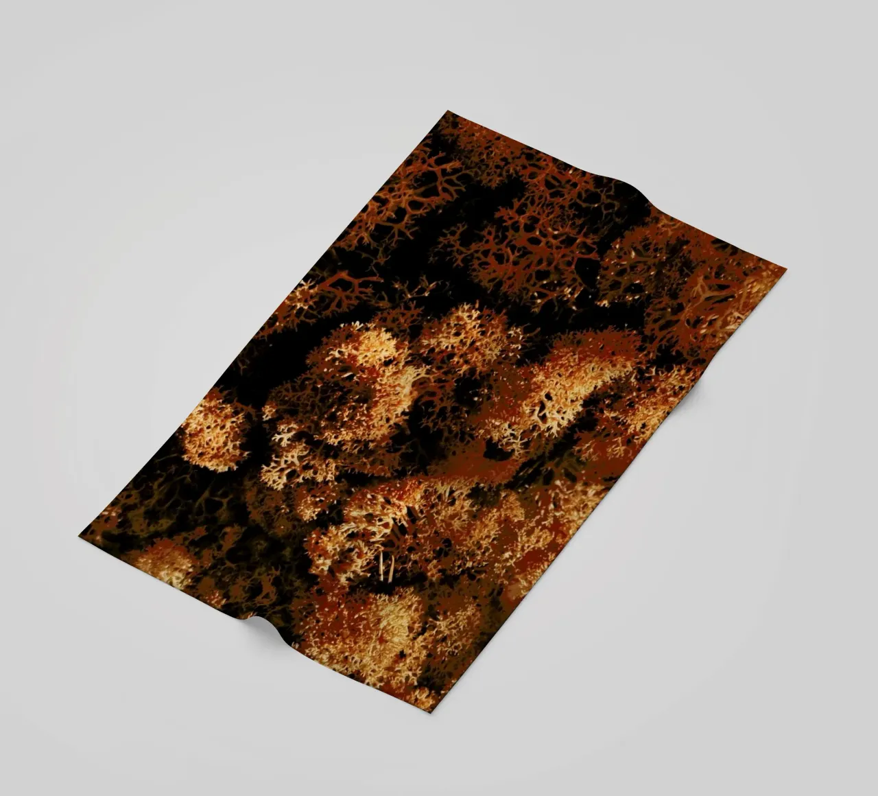 Light Shadow And The Sponge telo mare da Sebastian Hilgetag