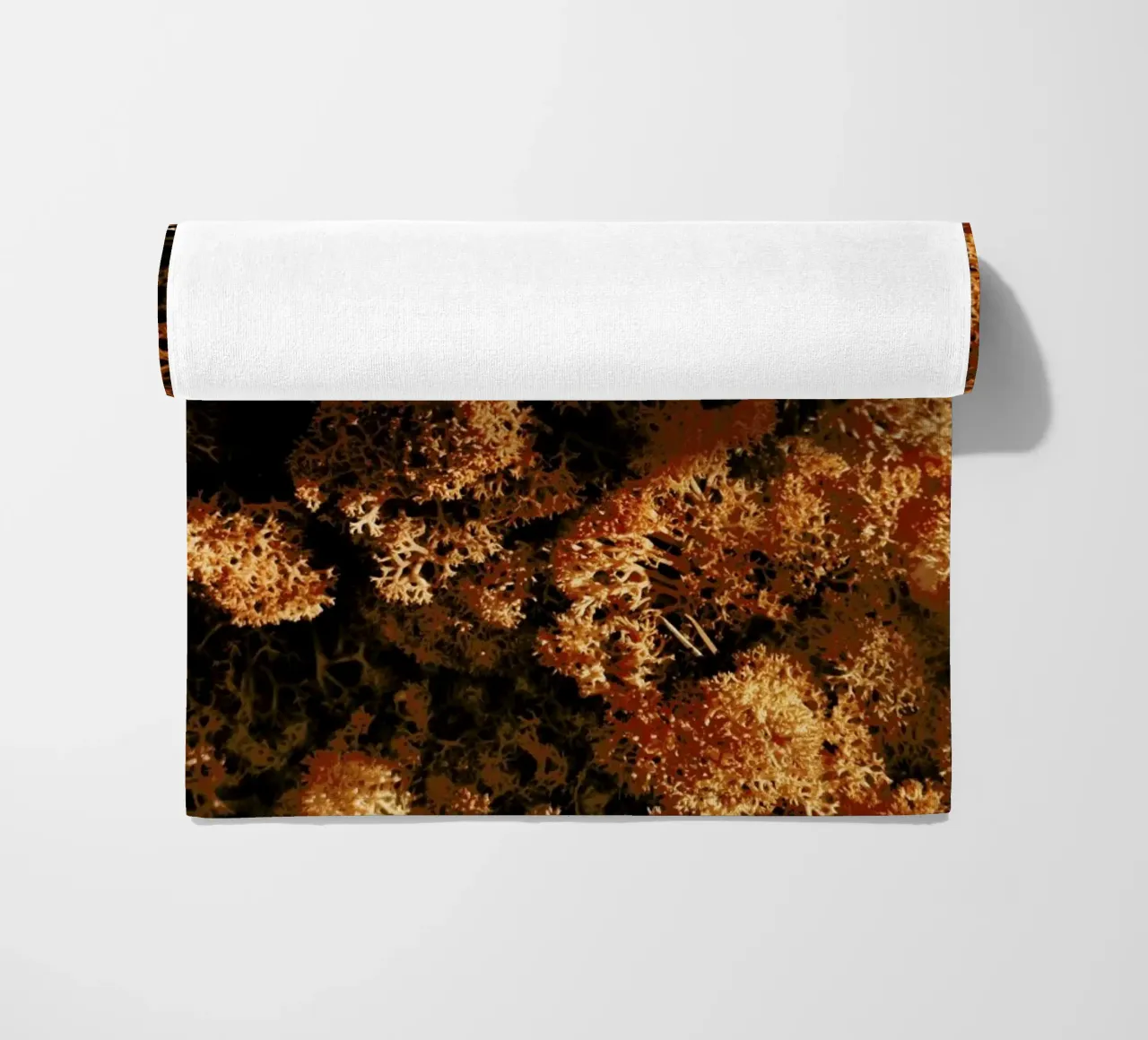 Light Shadow And The Sponge telo mare da Sebastian Hilgetag