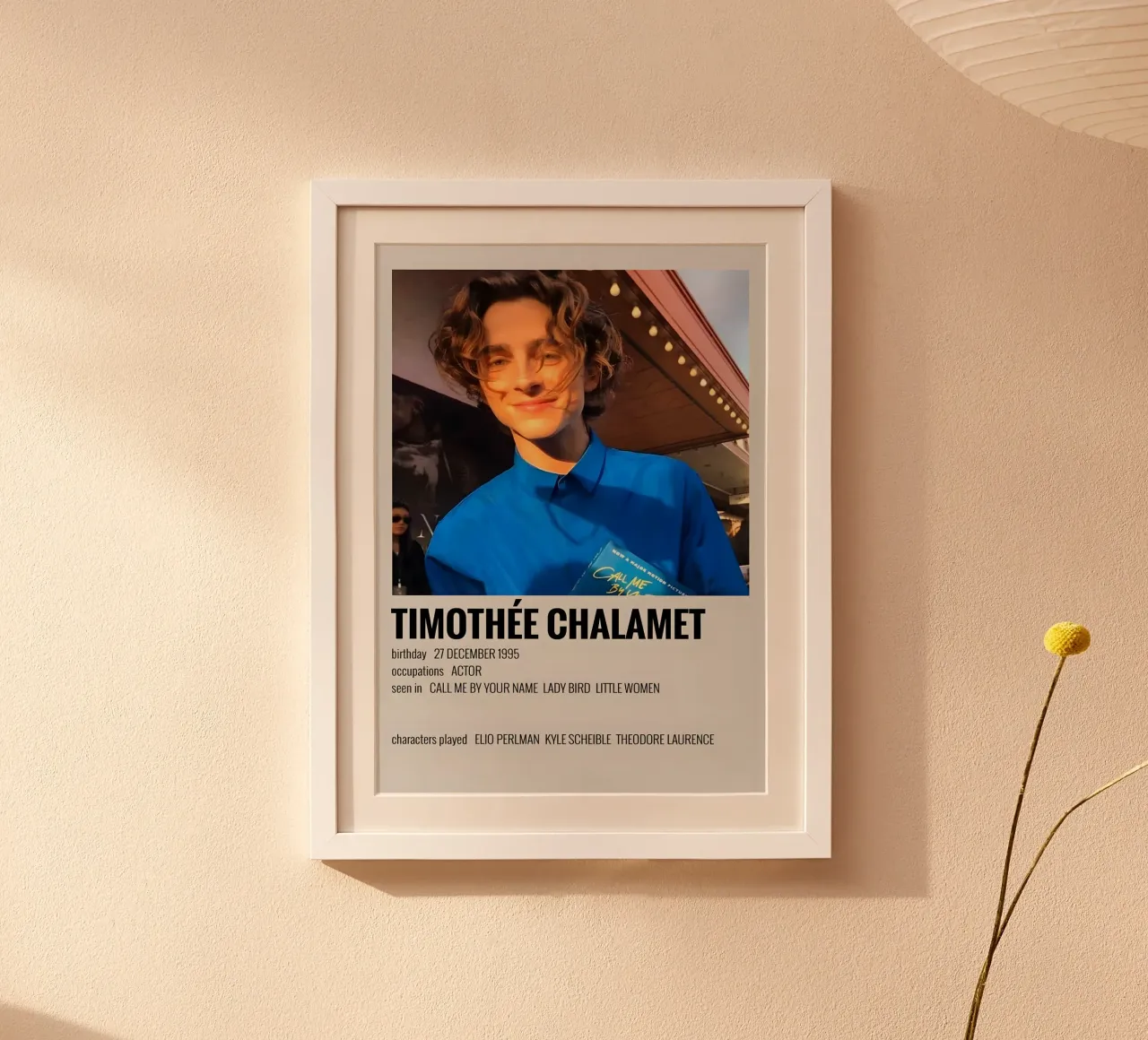 TIMOTHÉE CHALAMET poster da MVFminimalist