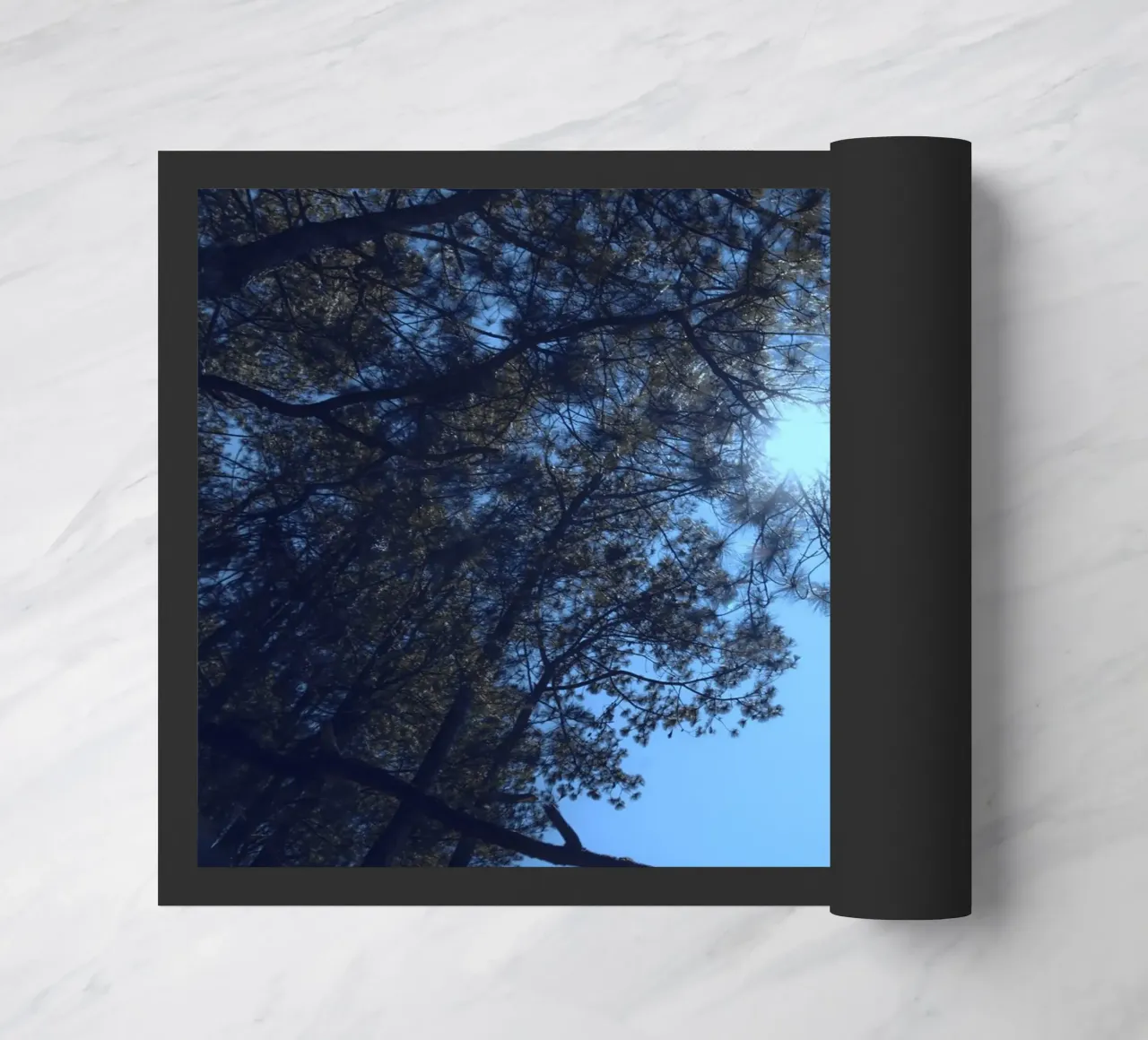 albero del bosco zerbino da space words