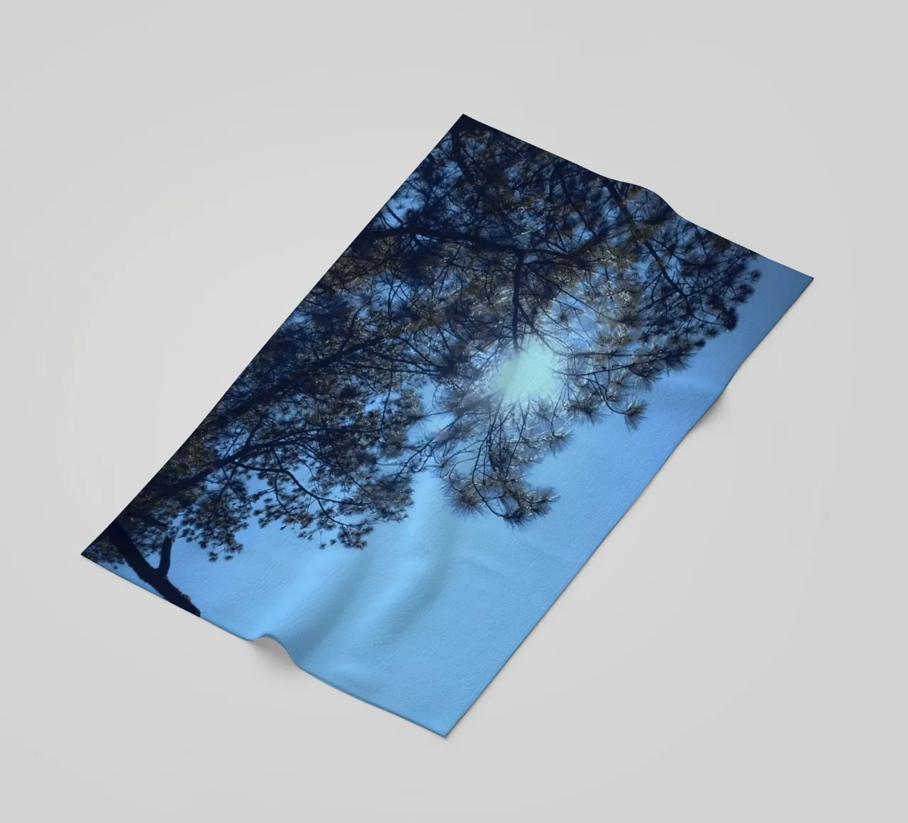 albero del bosco telo mare da space words