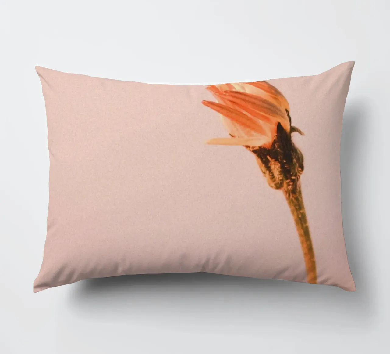 fiore soft focus cuscino da cofa home
