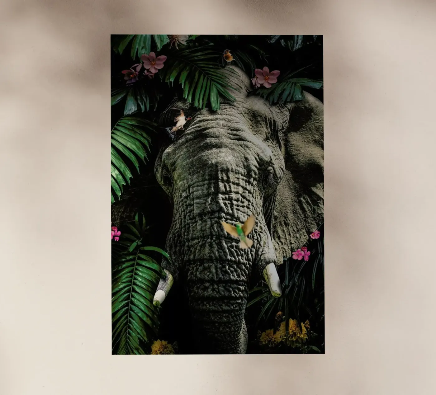 Elephant 5 pellicola backlit da Wouter Rikken