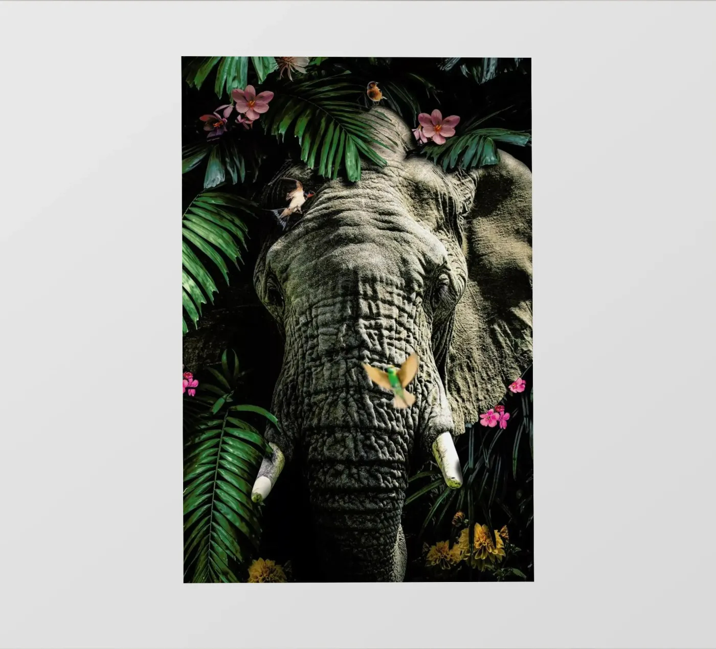 Elephant 5 pellicola backlit da Wouter Rikken