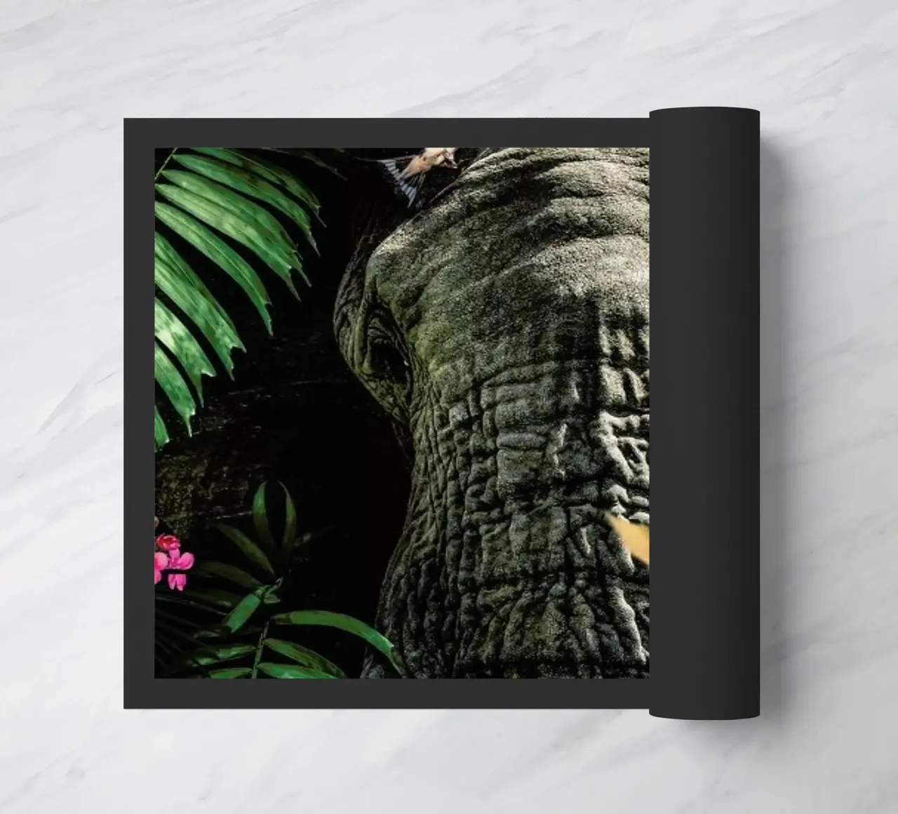 Elephant 5 zerbino da Wouter Rikken