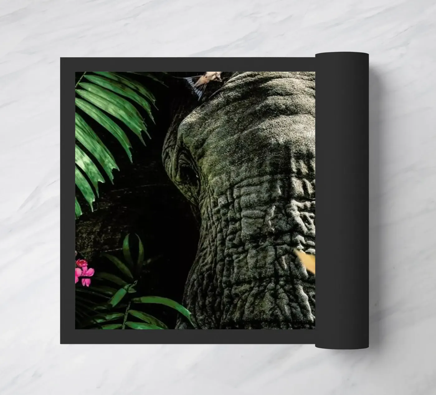 Elephant 5 zerbino da Wouter Rikken