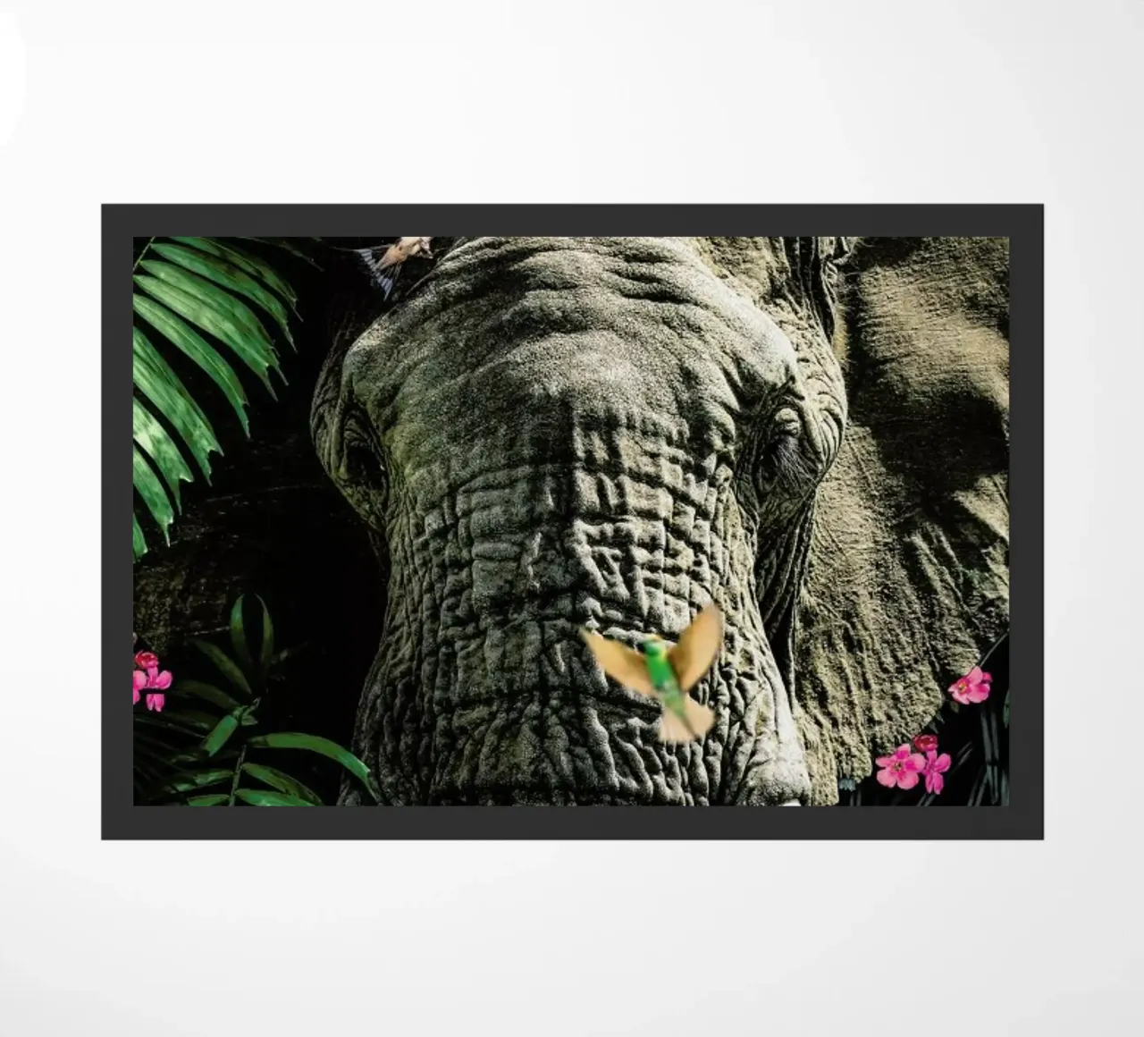 Elephant 5 zerbino da Wouter Rikken