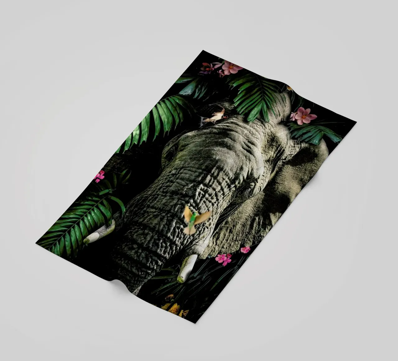 Elephant 5 telo mare da Wouter Rikken