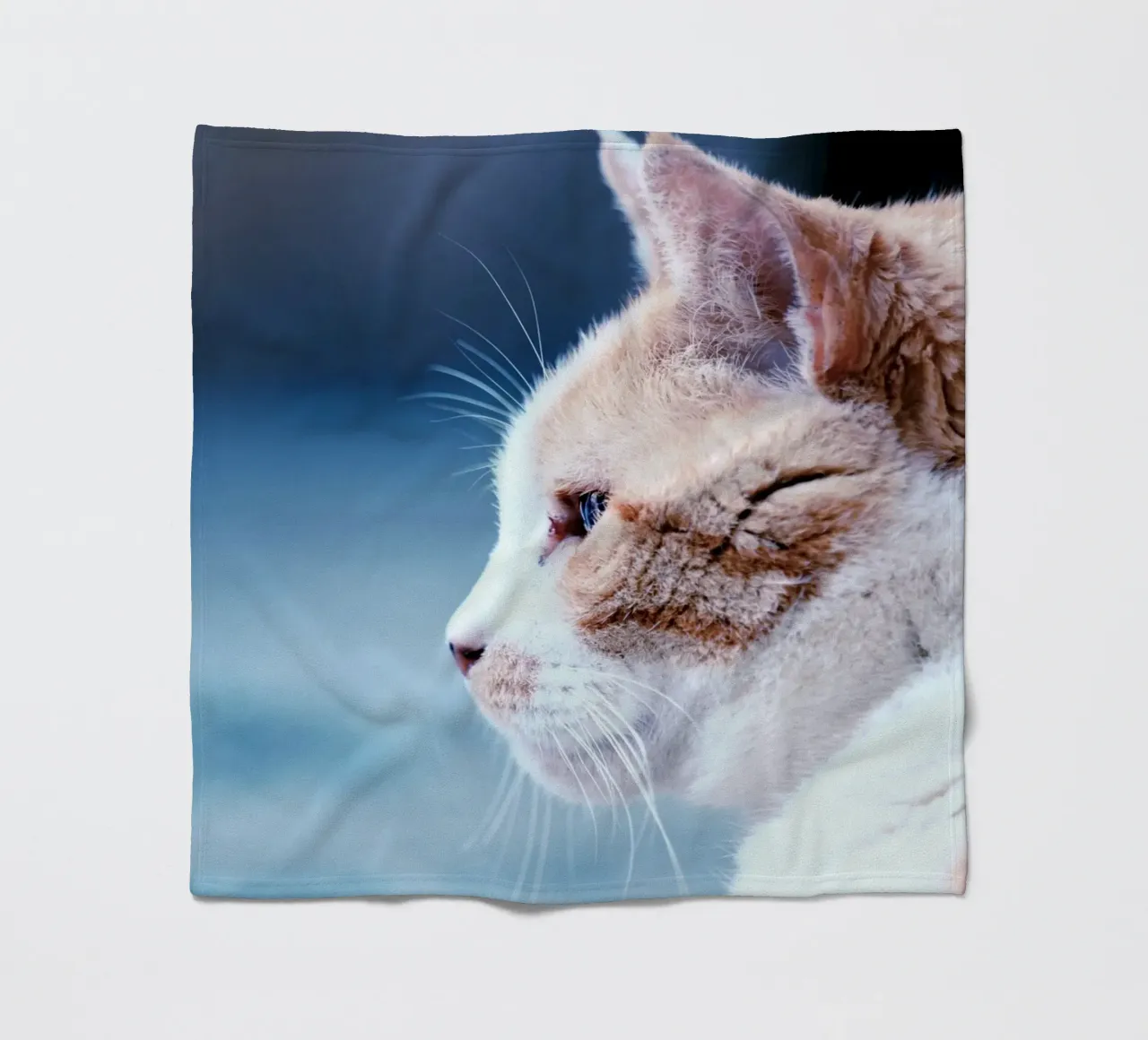 whiskers cat fleece blanket by animal story home