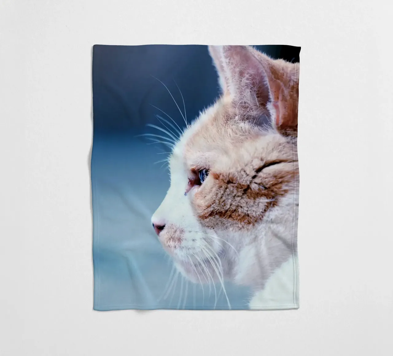 whiskers cat fleece blanket by animal story home