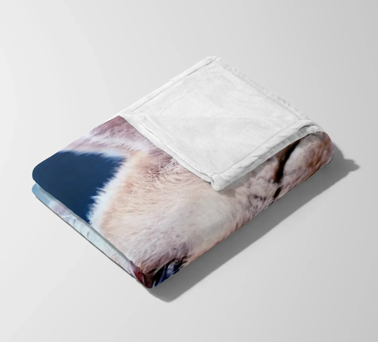 whiskers cat fleece blanket by animal story home