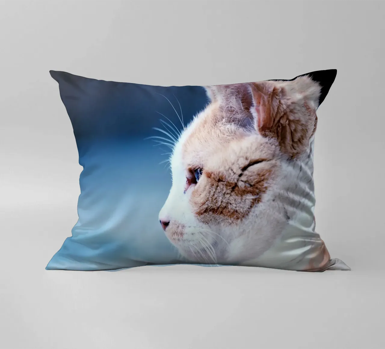 gatto baffo cuscino da animal story home