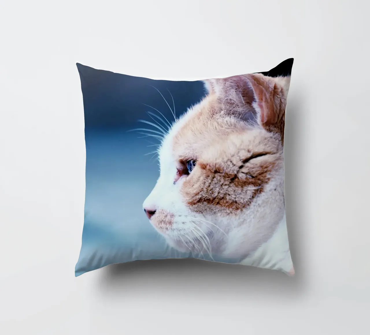 gatto baffo cuscino da animal story home