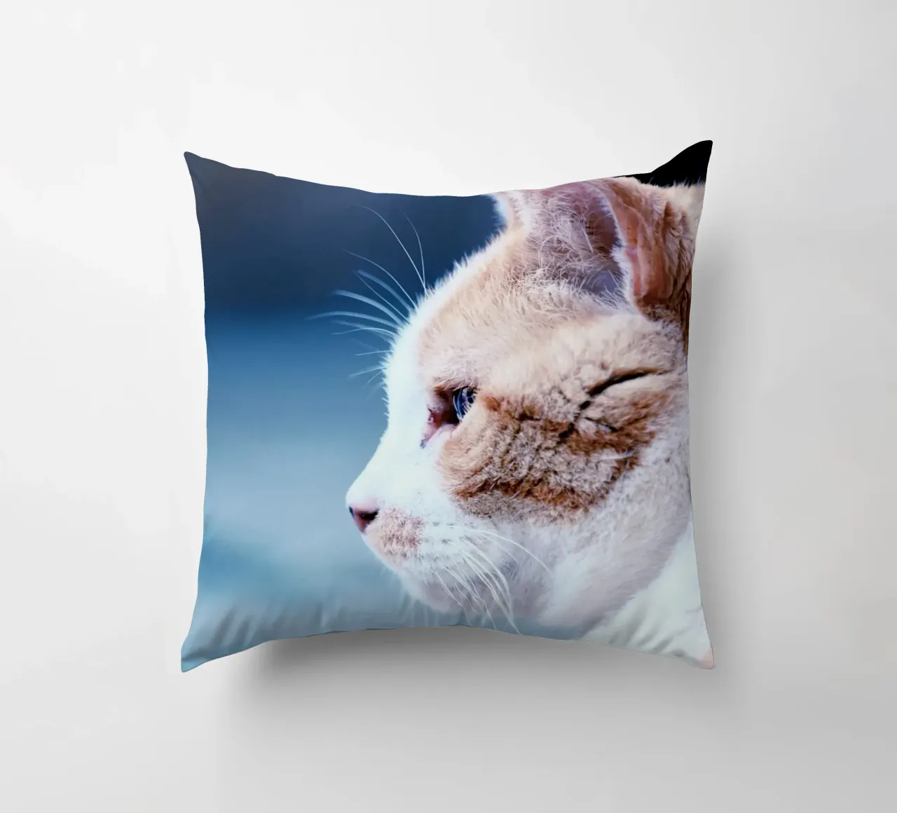 gatto baffo cuscino da animal story home