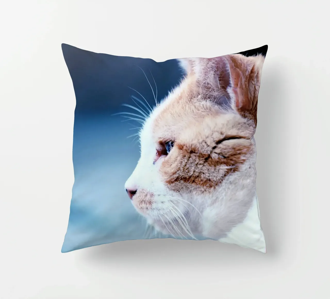 gatto baffo cuscino da animal story home