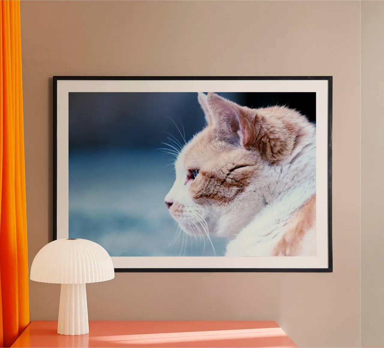 whiskers cat hahnemühle by animal story home