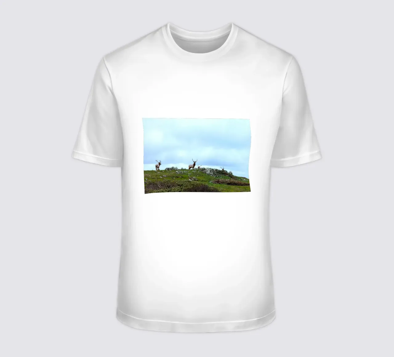corna sull'erba t-shirt da animal story home