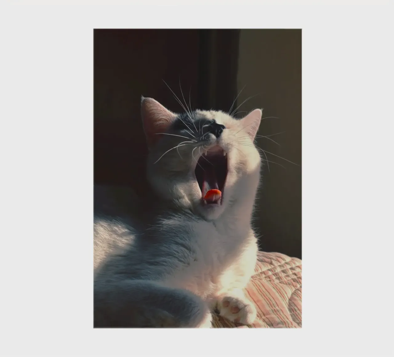 yawning cat notebook by animal story home
