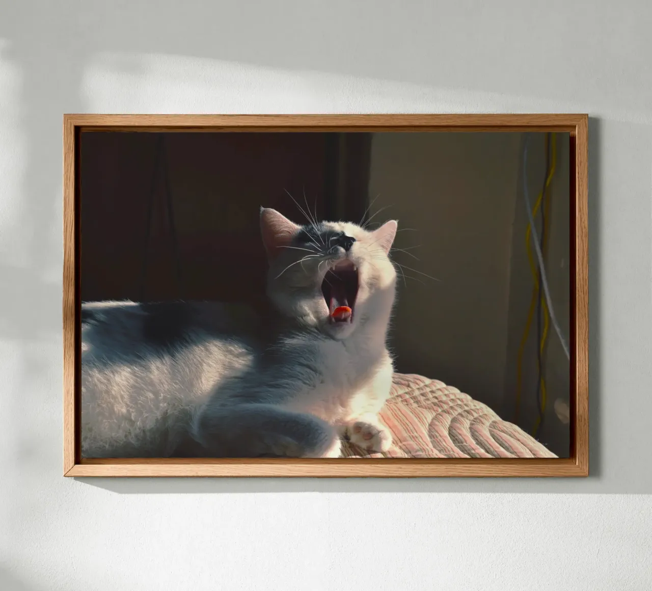 gatto che sbadiglia alluminio dibond da animal story home