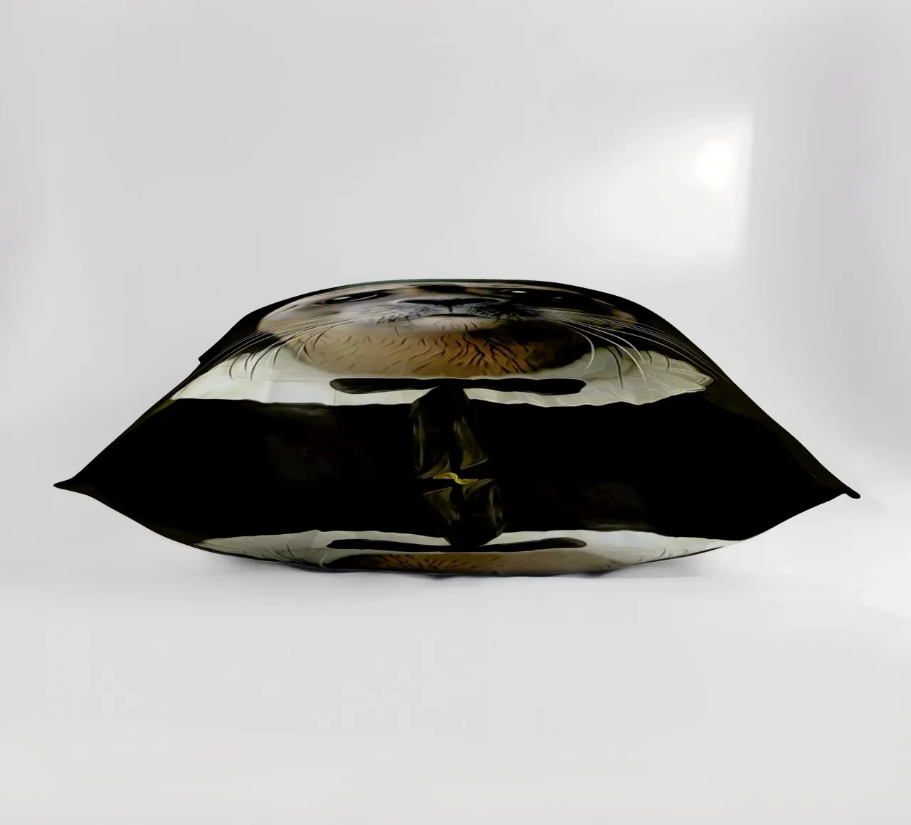 Boldini cuscino da Tein Lucasson