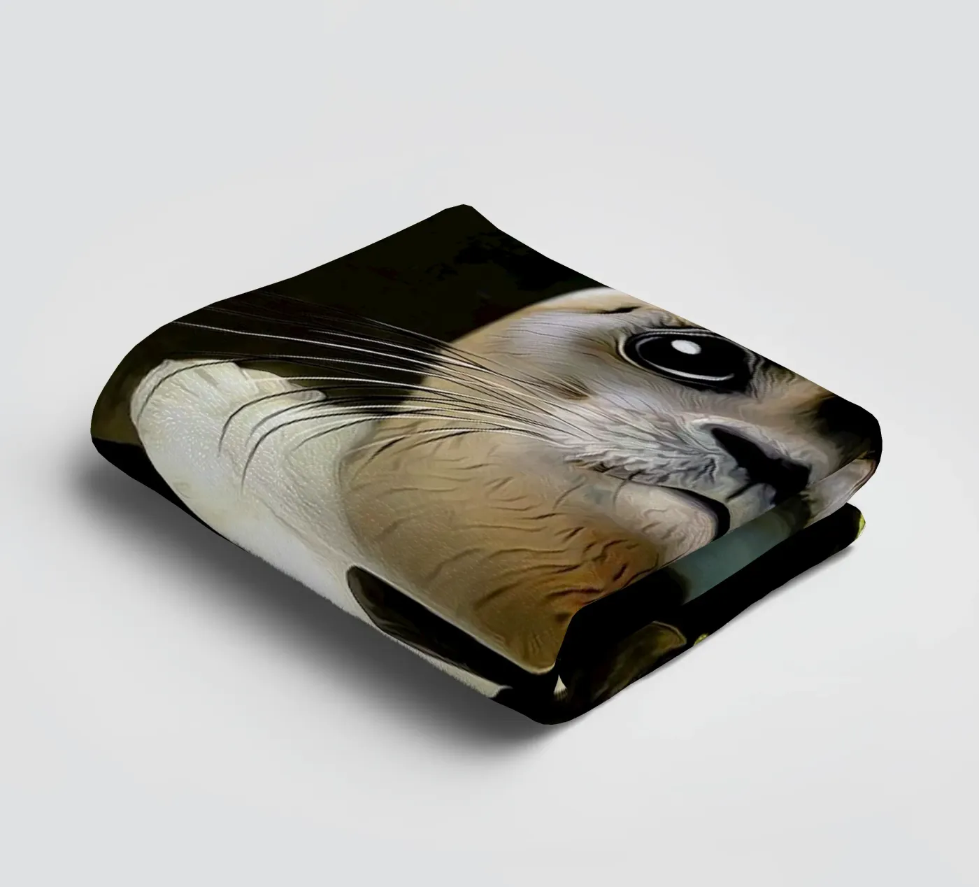 Boldini towel by Tein Lucasson