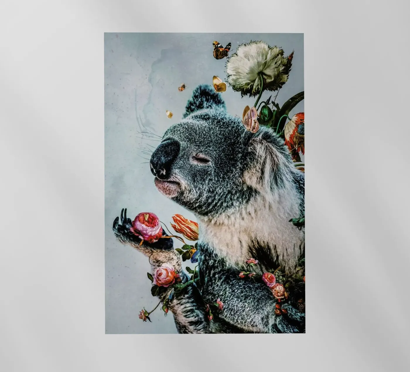 Koala pellicola backlit da Wouter Rikken