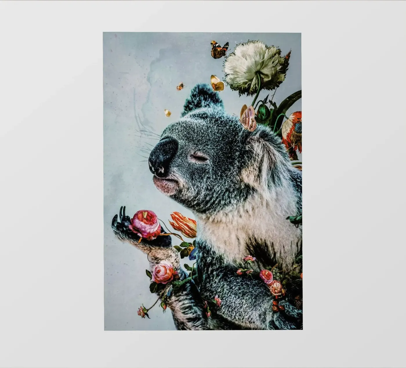 Koala pellicola backlit da Wouter Rikken