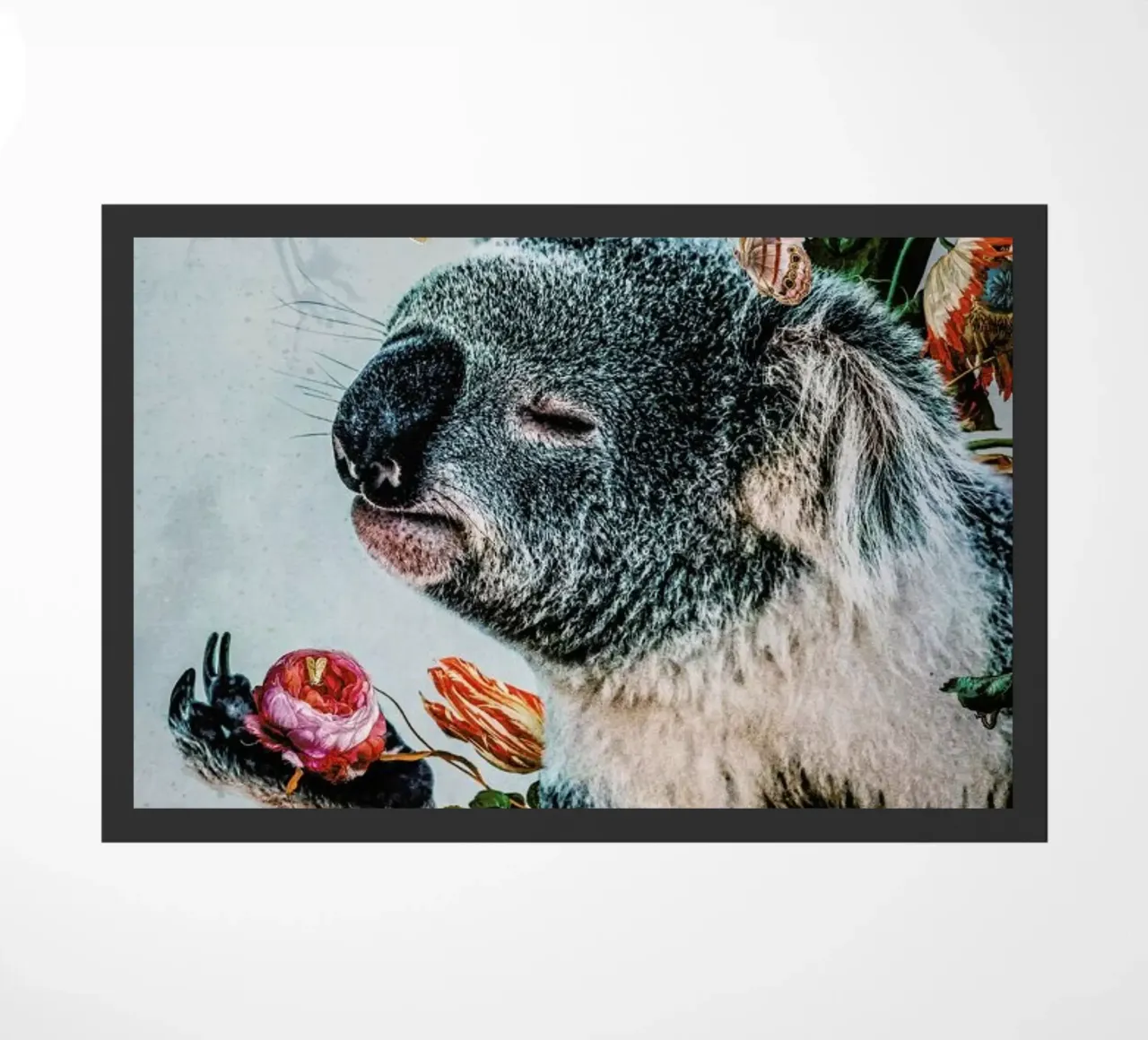 Koala zerbino da Wouter Rikken