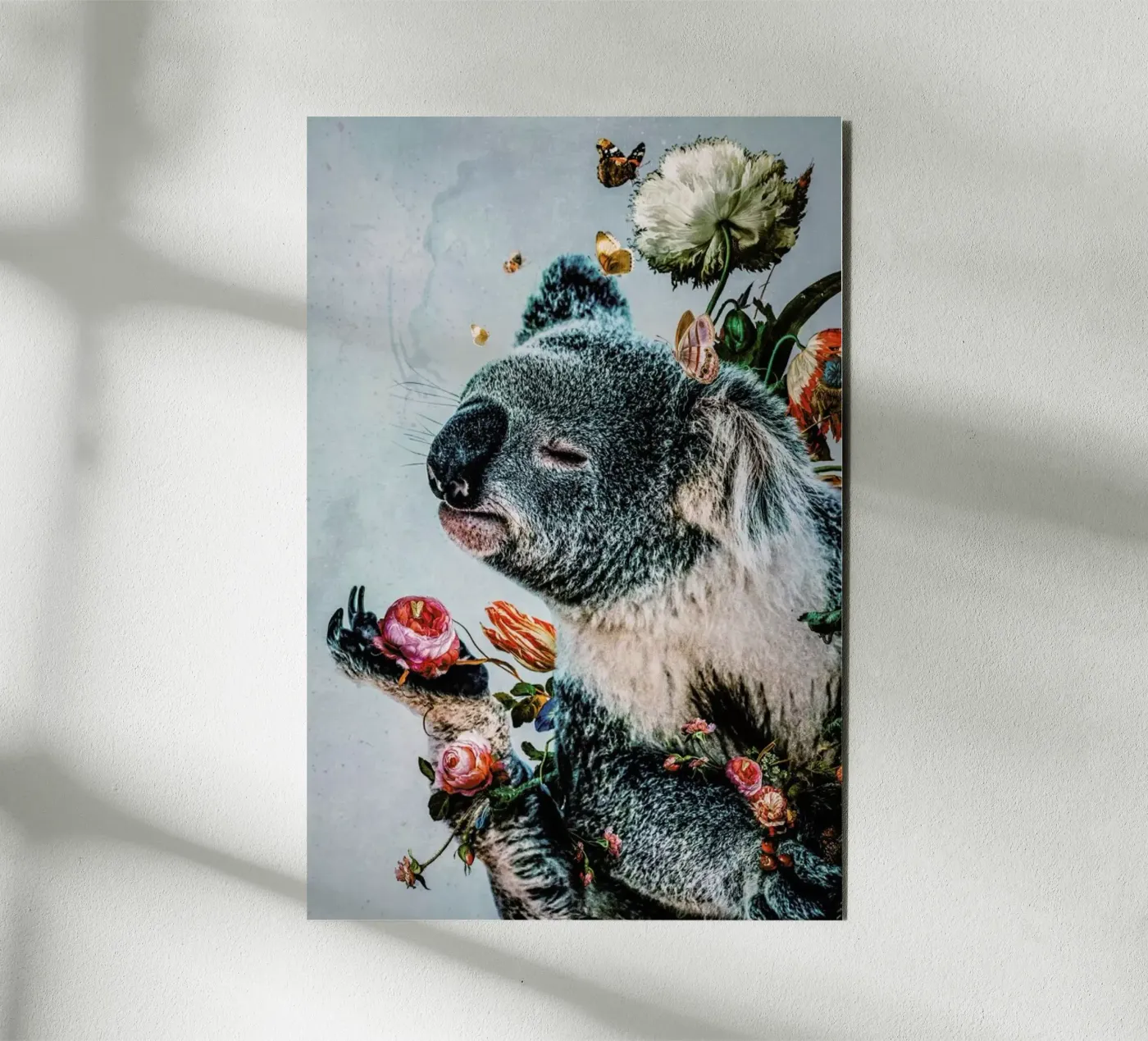 Koala alluminio dibond da Wouter Rikken