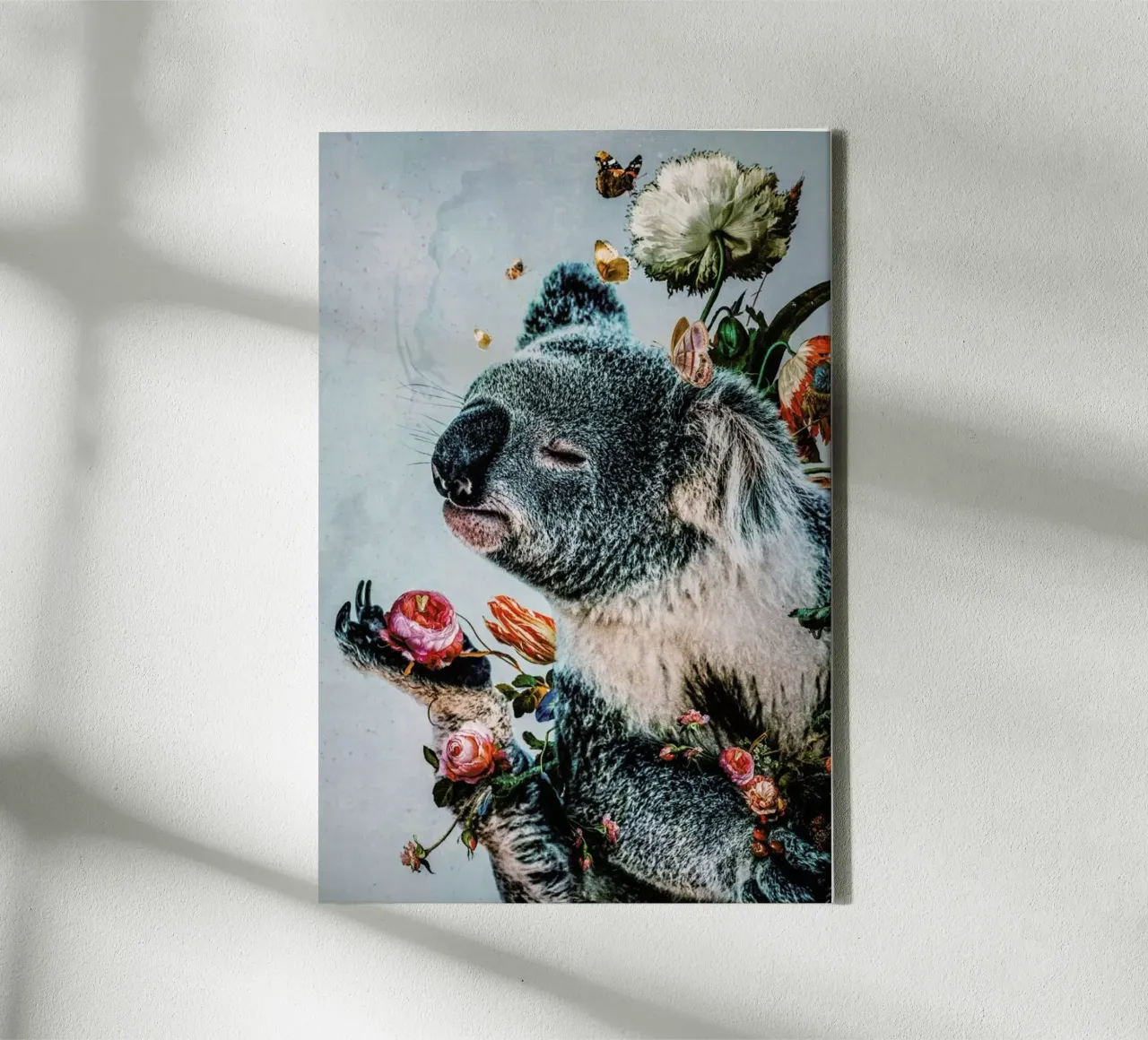 Koala tela con Cornice a cassetta da Wouter Rikken