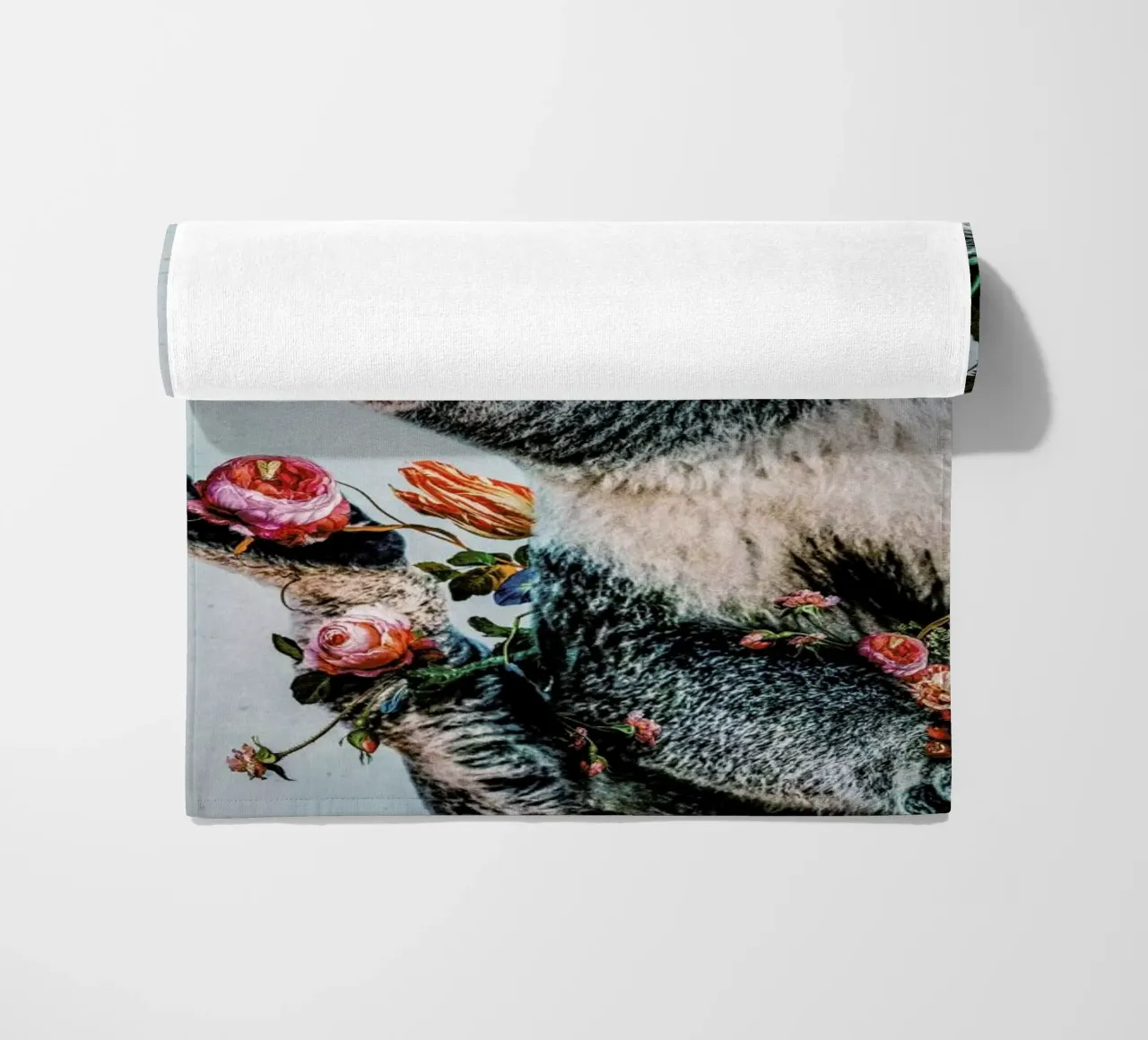 Koala telo mare da Wouter Rikken