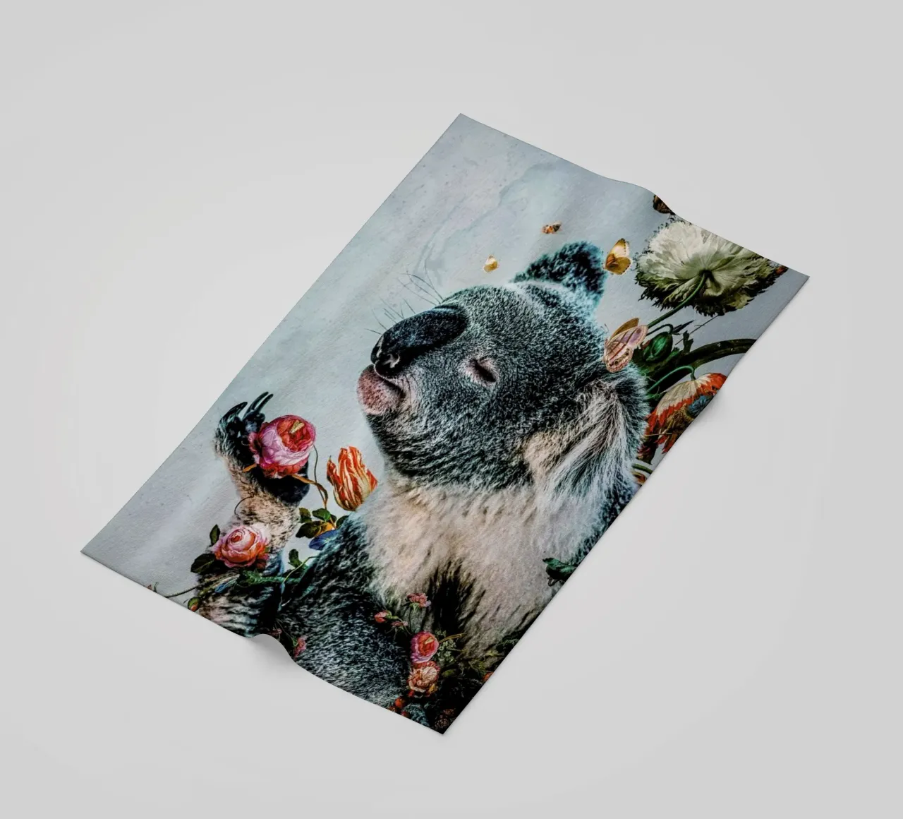 Koala telo mare da Wouter Rikken