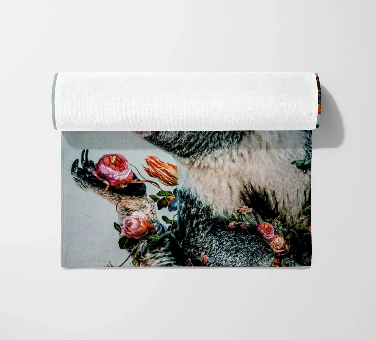 Koala telo mare da Wouter Rikken