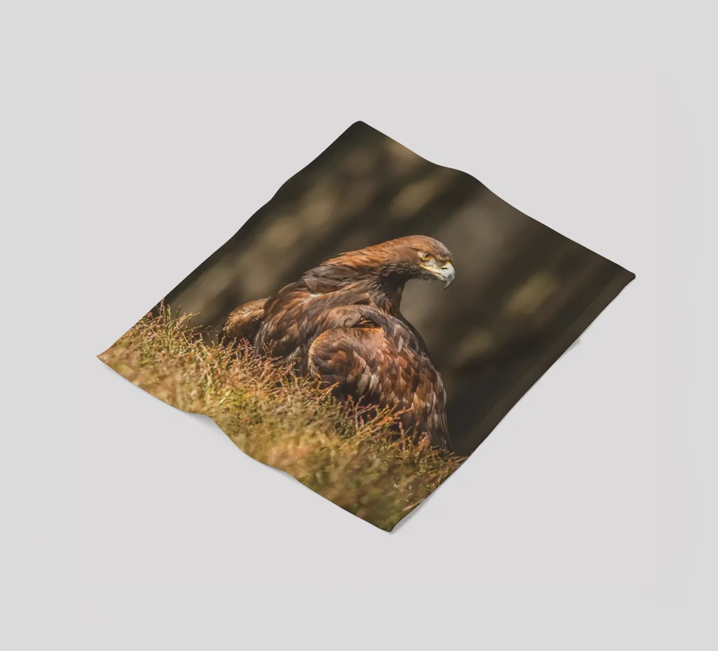 Golden Eagle fleecedeken van Dave Hare Photography