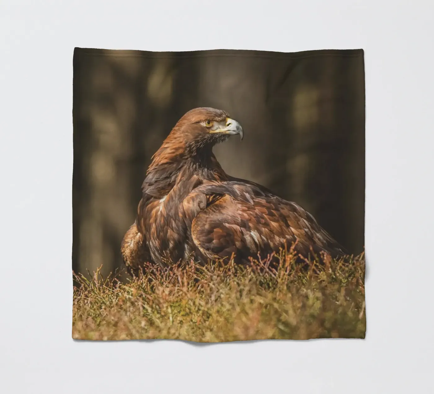 Golden Eagle fleecedeken van Dave Hare Photography