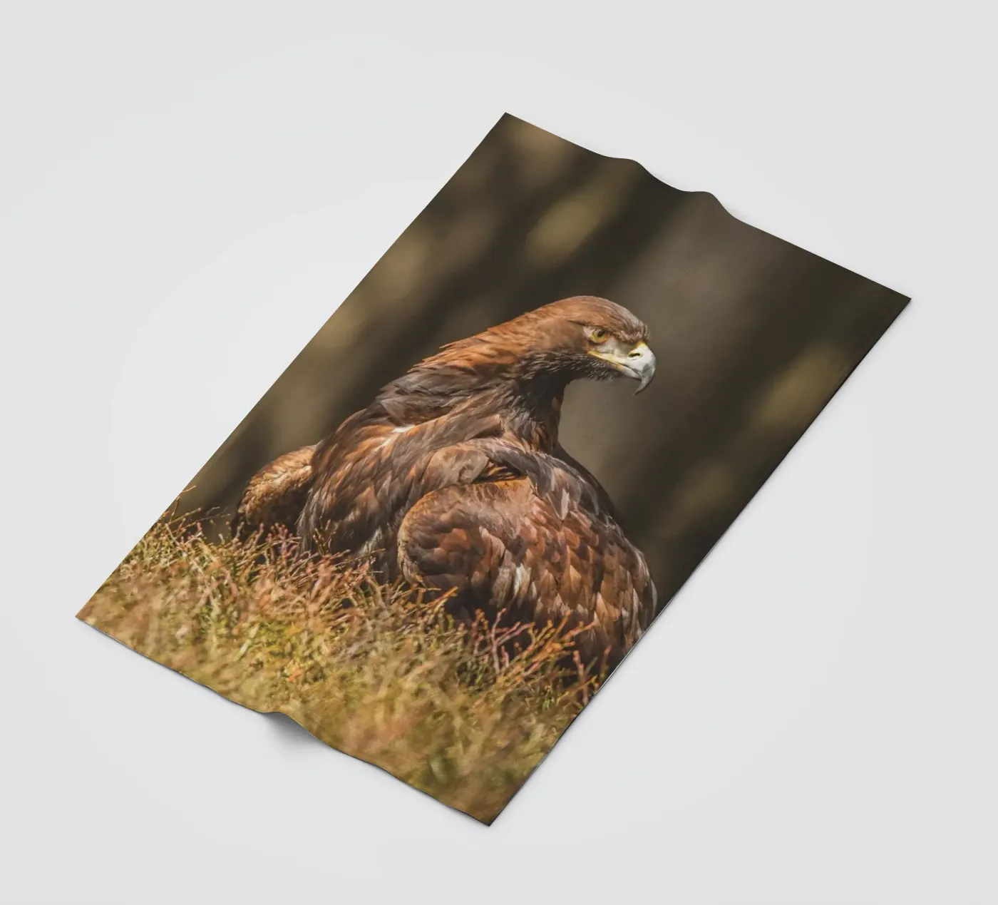 Golden Eagle fleecedeken van Dave Hare Photography