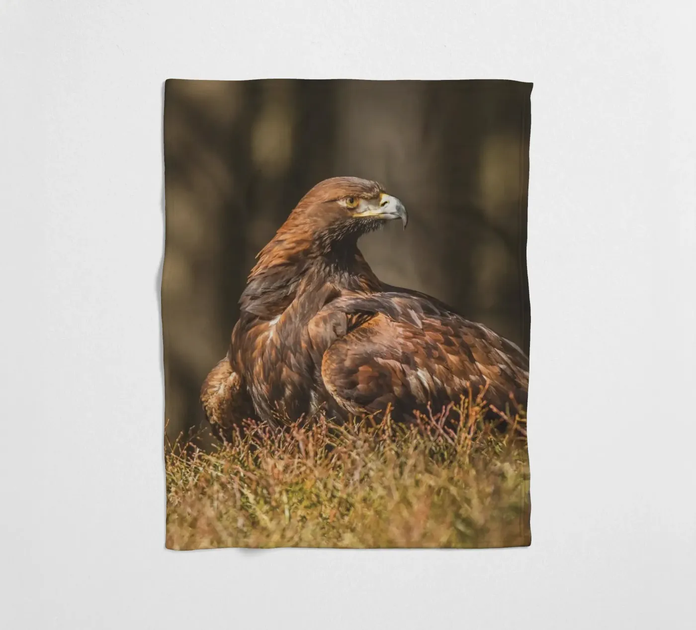 Golden Eagle fleecedeken van Dave Hare Photography