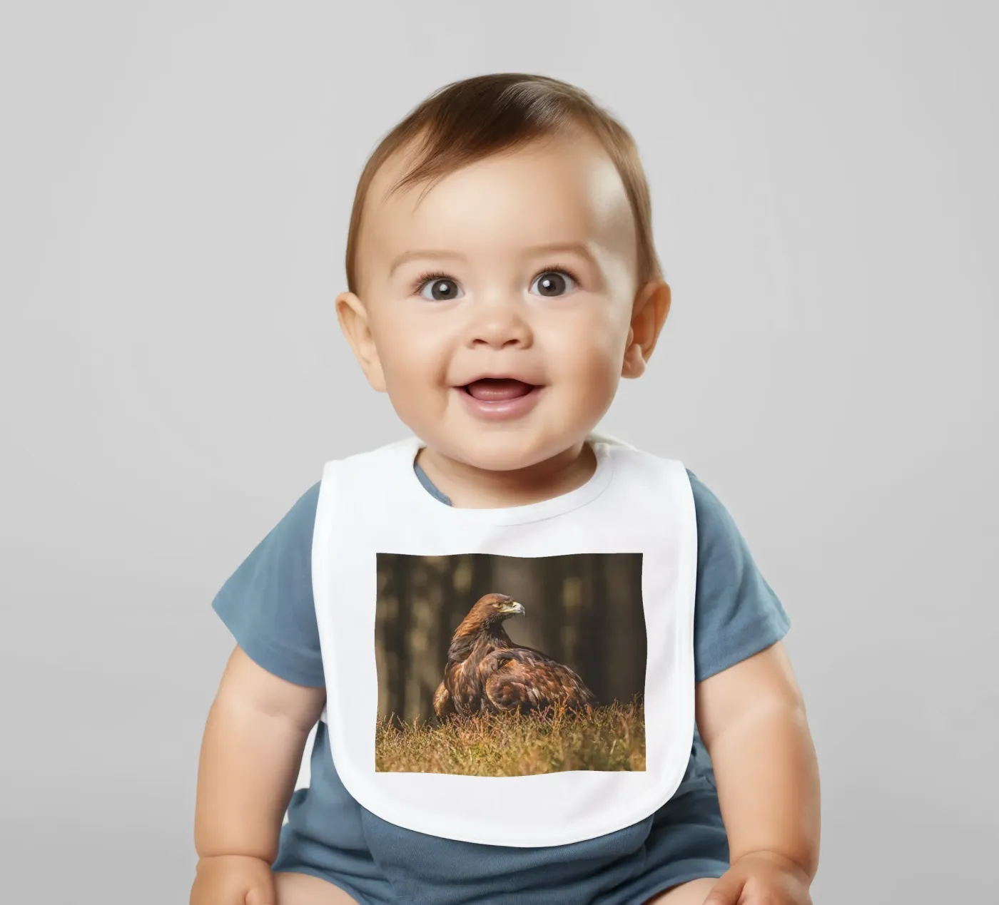 Golden Eagle bavaglino da Dave Hare Photography